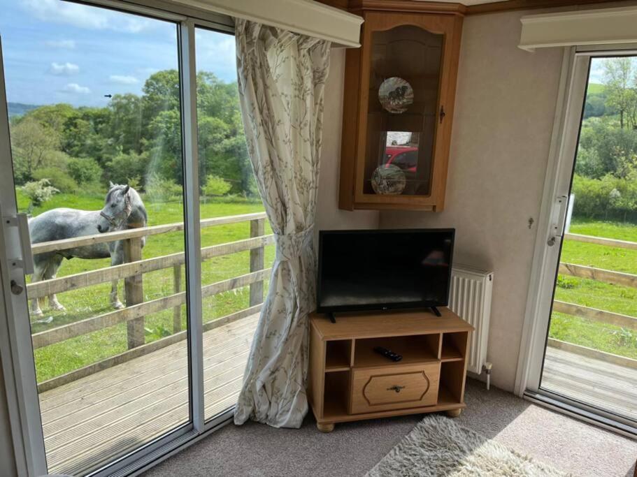 Appartement Farm Caravan On Working Farm Dacre (Cumbria)